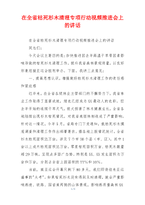 在全省枯死杉木清理专项行动视频推进会上的讲话