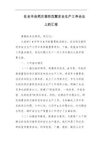 在全市自然灾害防范暨安全生产工作会议上的汇报