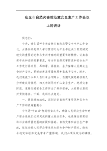 在全市自然灾害防范暨安全生产工作会议上的讲话