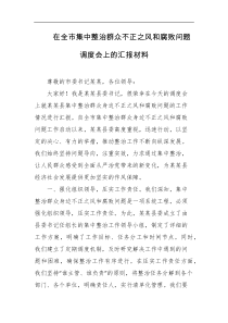 在全市集中整治群众不正之风和腐败问题调度会上的汇报材料