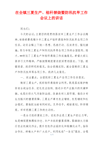 在全镇三夏生产、秸秆禁烧暨防汛抗旱工作会议上的讲话