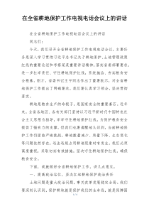 在全省耕地保护工作电视电话会议上的讲话