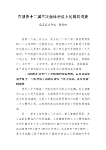 在县委十二届三次全体会议上的讲话摘要