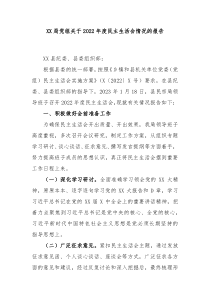 XX局党组关于20XX年度民主生活会情况的报告