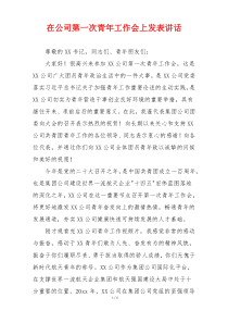 在公司第一次青年工作会上发表讲话