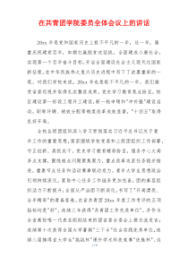在共青团学院委员全体会议上的讲话