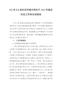 XX市XX县生态环境分局关于20XX年意识形态工作的总结报告