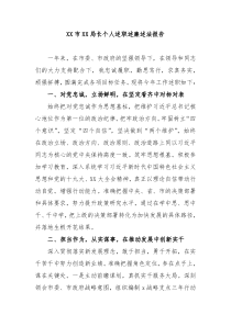 XX市XX局长个人述职述廉述法报告
