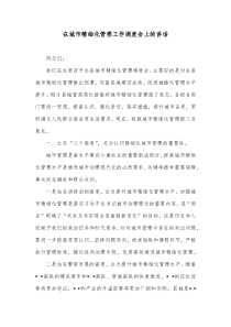 在城市精细化管理工作调度会上的讲话