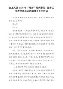 在某某区2025年“两新”组织书记、党务工作者培训班开班动员会上的讲话