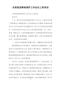 在某某县耕地保护工作会议上的讲话