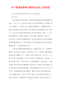 在十四届县委审计委员会会议上的讲话