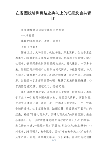 在省团校培训班结业典礼上的汇报发言共青团