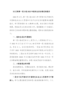 XX支部第一党小组20XX年组织生活会情况的报告