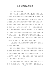 二十大学习心得体会