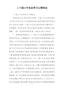 二十届三中全会学习心得体会