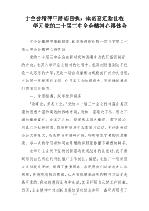 于全会精神中磨砺自我，砥砺奋进新征程——学习党的二十届三中全会精神心得体会