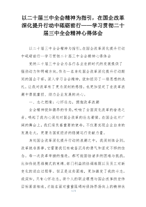 以二十届三中全会精神为指引，在国企改革深化提升行动中砥砺前行——学习贯彻二十届三中全会精神心得体会