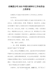 在集团公司2025年度内部审计工作动员会上的讲话