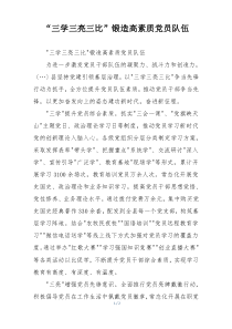 “三学三亮三比”锻造高素质党员队伍