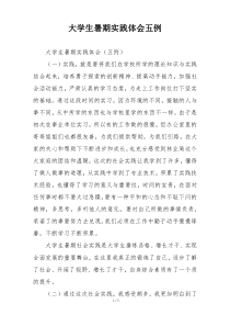 大学生暑期实践体会五例