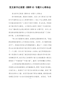 党支部书记观看《榜样9》专题片心得体会