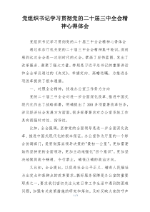 党组织书记学习贯彻党的二十届三中全会精神心得体会