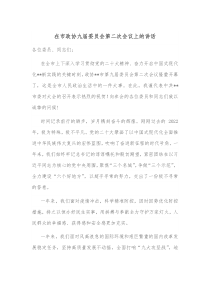 在市政协九届委员会第二次会议上的讲话