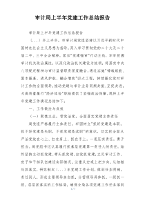 审计局上半年党建工作总结报告
