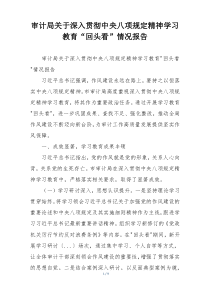 审计局关于深入贯彻中央八项规定精神学习教育“回头看”情况报告