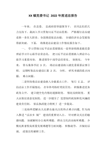 XX镇党委书记20XX年度述法报告