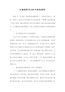 XX镇党委书记20XX年度述法报告1