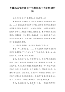 乡镇机关党支部关于强基固本工作的经验材料