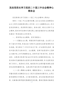 发改局局长学习党的二十届三中全会精神心得体会