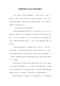 XX镇党委书记20XX年度述法报告2