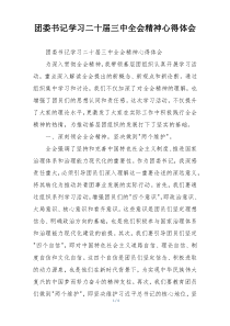 团委书记学习二十届三中全会精神心得体会