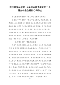 团市委青年干部15学习宣传贯彻党的二十届三中全会精神心得体会