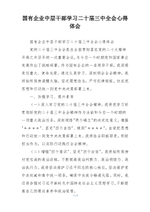 国有企业中层干部学习二十届三中全会心得体会