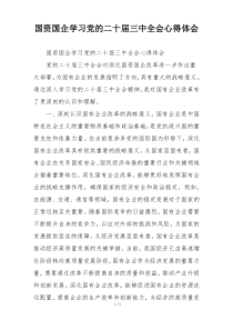 国资国企学习党的二十届三中全会心得体会