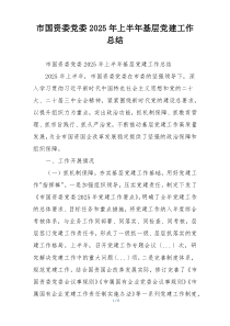 市国资委党委2025年上半年基层党建工作总结