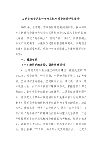X党支部书记上一年度组织生活会述职评议报告