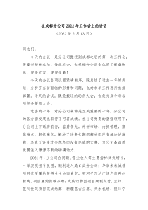 在成都分公司20XX年工作会的讲话