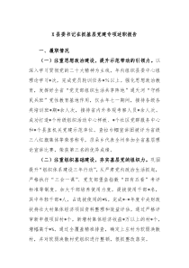 X县委书记在抓基层党建专项述职报告