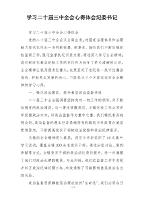 学习二十届三中全会心得体会纪委书记