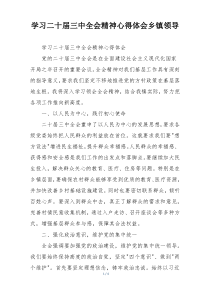 学习二十届三中全会精神心得体会乡镇领导