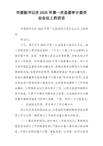 市委副书记在2025年第一次县委审计委员会会议上的讲话