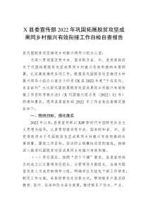 X县委宣传部20XX年巩固拓展脱贫攻坚成果同乡村振兴有效衔接工作自检自查报告
