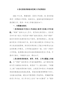 X县纪委抓两新组织党建工作述职报告