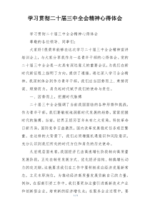 学习贯彻二十届三中全会精神心得体会