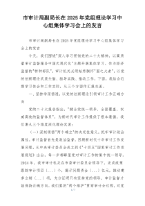 市审计局副局长在2025年党组理论学习中心组集体学习会上的发言